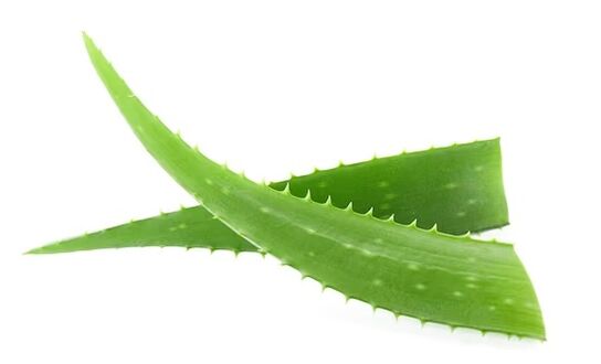 rand Fungeent rand contiene aloe vera